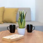 Mardinik Aparthotel Rethymno