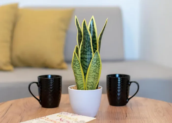 Mardinik Aparthotel Rethymno